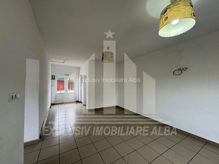 Spatiu comercial | Spatiu birouri | Curte | Terasa | Sebes - 6