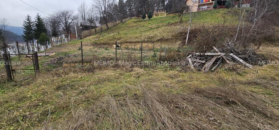 Teren construibil (intravilan) de vanzare, strada Viei nr. 30 - 3
