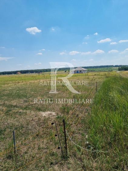 Teren intravilan | Cihei | Bihor - 4