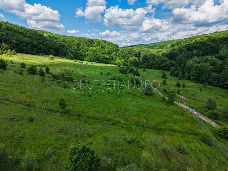 Teren Pasune + Arabil - Valea Mare Podgoria Arges