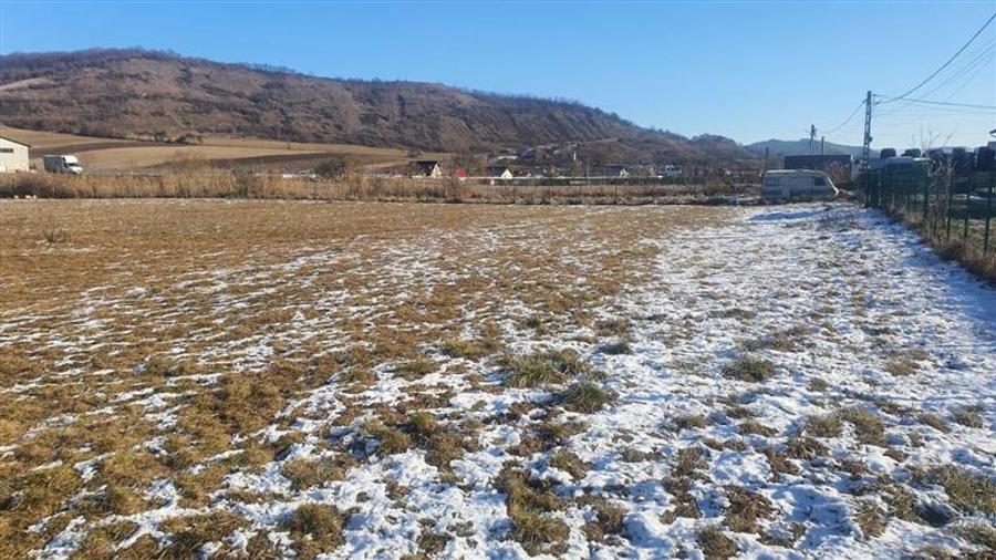 Teren Ivanesti-Livezeni 4300 mp