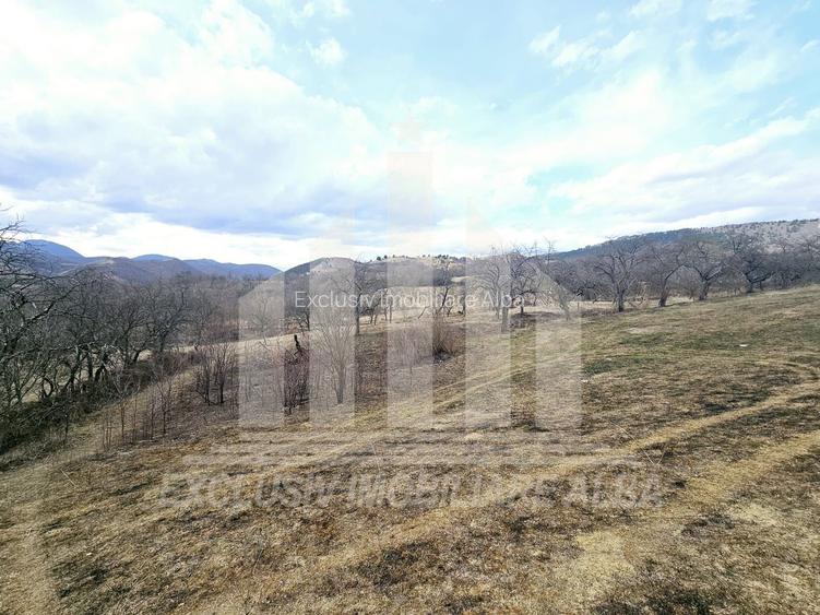 Teren intravilan | De vanzare | 12211 mp | Geogiu de Sus - 4