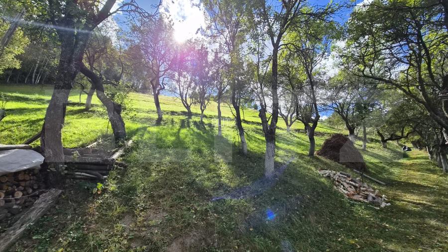 Casa 3 camere, 55 mp, teren 23.000 mp, zona pitoreasca-Poiana Marului - 11
