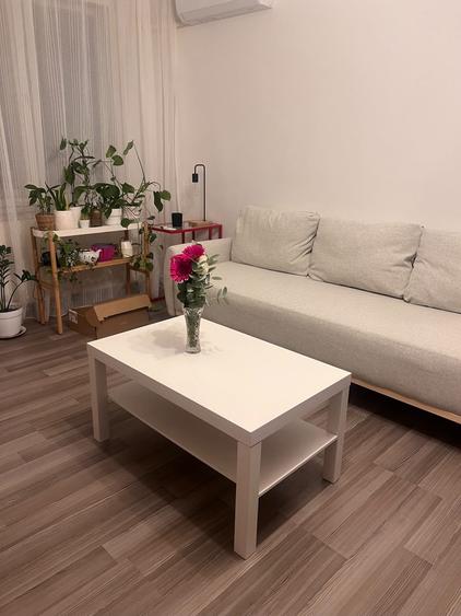 Gorjului-Militari, decomandat,pet friendly