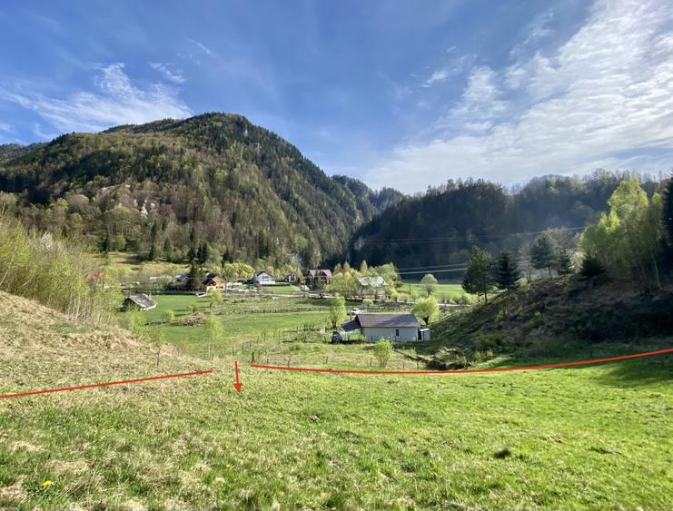 Teren panoramic însorit, utilități, panta mica si pădure, turism sau vacanță