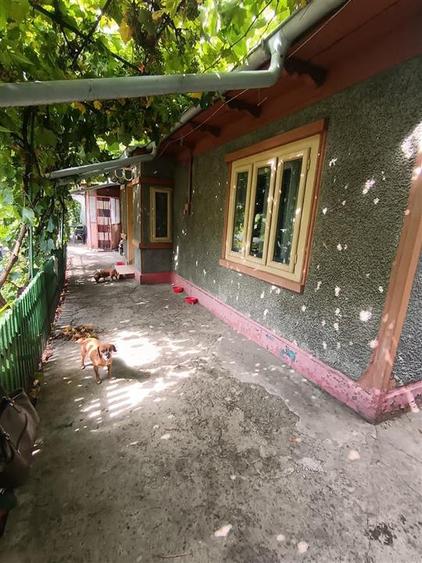 Casa Brailita-Vidin, 4 camere, Teren 573 mp