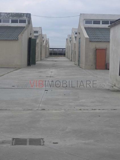 *Fermă modernă pentru export miei | 6 ha | Standarde europene | Aproape de Brăil