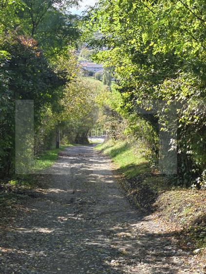 Oportunitate! Teren 3448 mp Borhanci – Zonă în Plină Dezvoltare - 10