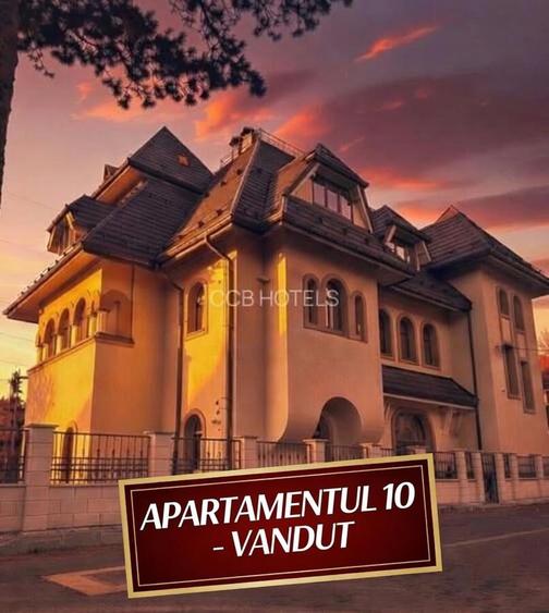 Apartament de vacanta VANDUT - (AP10)