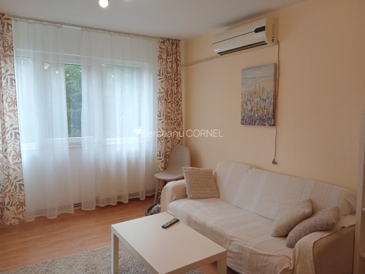 Proprietar,  2 camere, foarte aproaape de iulius Mall - 7