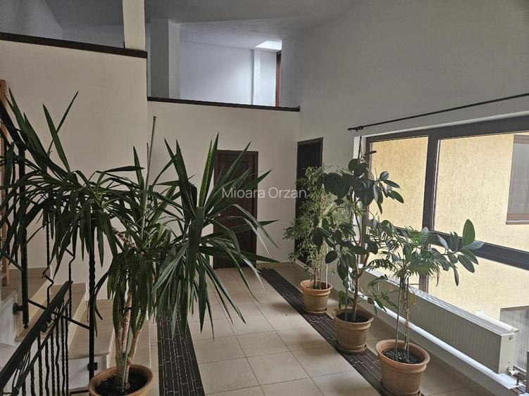 Domenii, vila individuala 6 camere,250mp - 11