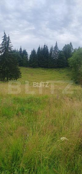 Teren 7.671 mp, (4.044 mp intravilan), zona Panaci, Vatra Dornei - 3