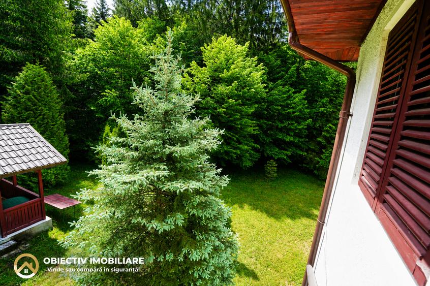 Cabană de Vânzare în Tarcău – Natură, Relaxare și Pescuit la Poartă! .