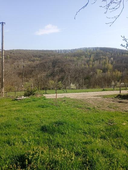 Vând terenuri,intravilane și extravilane !!!