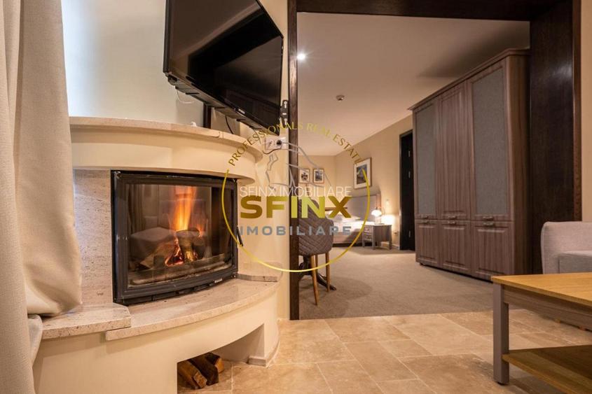 Boutique Hotel for Sale in Bușteni, Romania | 11 Rooms | 2,039 sqm Land - 17