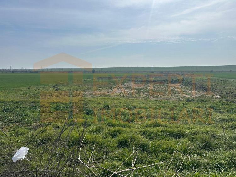 Teren intravilan 10.000 mp | DN | in Zona Volvo - Hala Neagră