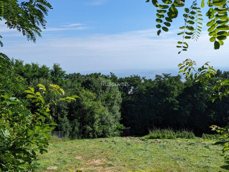 teren unic - 2.200 mp, panoramă Cluj, intravilan, în curs de autorizare! - 7