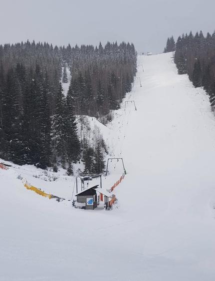 Domeniu schiabil-Partia Mestecanis, 28ha teren, zona Mestecanis