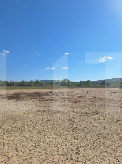 Teren de vânzare 1.600 mp cu deschidere la lac – zona Lacul Surduc - 14