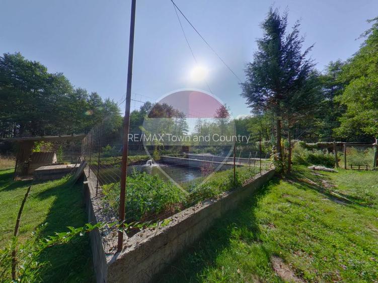 Hotel / Pensiune cu 4 camere de vânzare