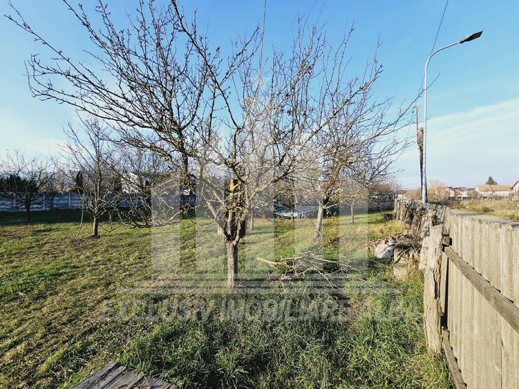 Teren intravilan | De vanzare | 1769 mp | 56 ml deschidere | Cetate