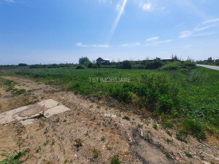 Teren intravilan la intrare în Vetiș – 12.216 mp - 4