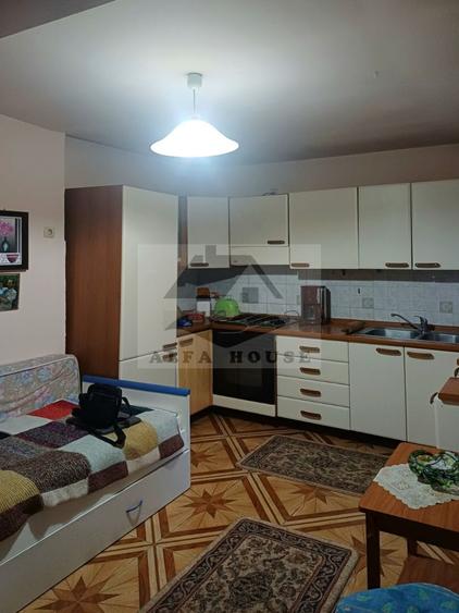 Apartament cu 4 camere in casa - zona Ultracentrala , AFI Mall, Patria