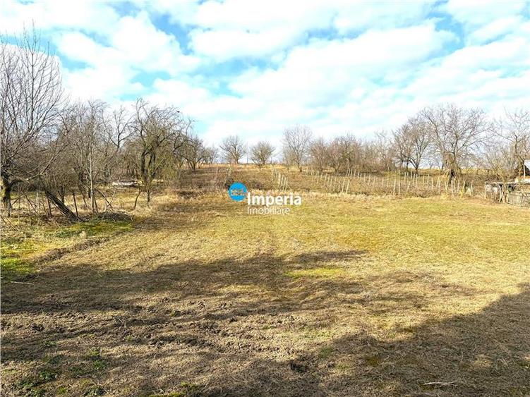 Teren intravilan 4800 mp, investitie, utilitati complete, Dancas Miroslava