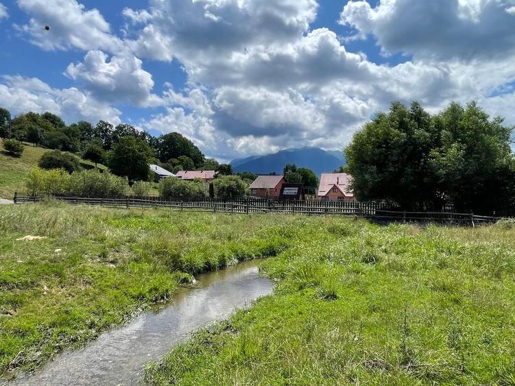 INVESTIȚIE | Teren 5000 mp PUZ APROBAT intravilan - zona Sohodol -Bran
