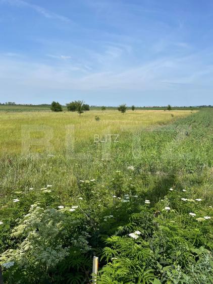 Teren extravilan, 4.994 mp, Targoviste - 3