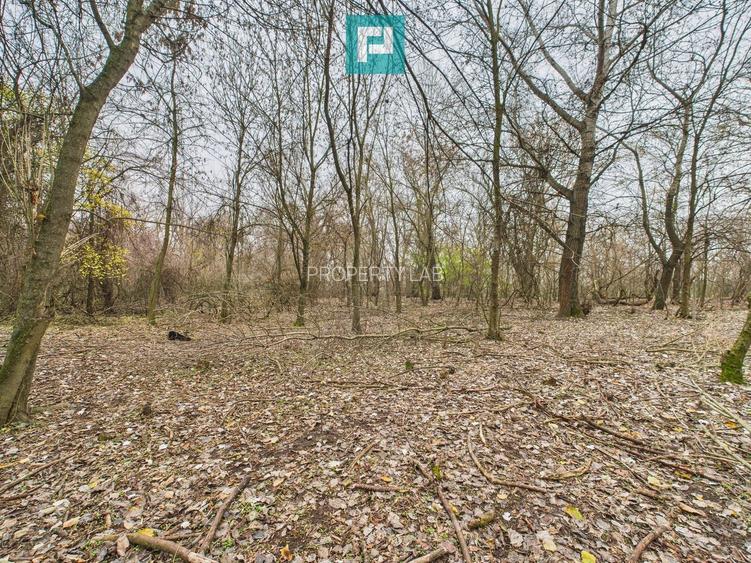 Teren pe malul Mureșului- oportunități multiple - 3