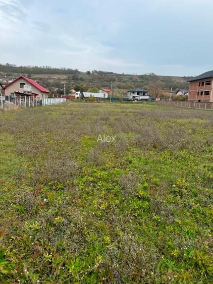 Teren intravilan 2.300 mp, Vaslui, ideal construcții/investiție, 39 EUR/mp - 3
