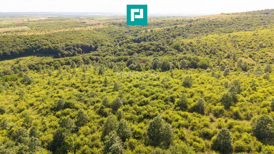 TEREN AGRICOL EXTRAVILAN  22.900 MP LIPOVA - 14