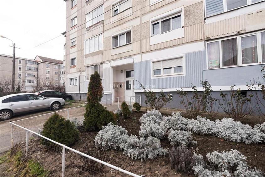 RECO Apartament cu 3 camere tip PB - zona Salca  Nufarul - 15