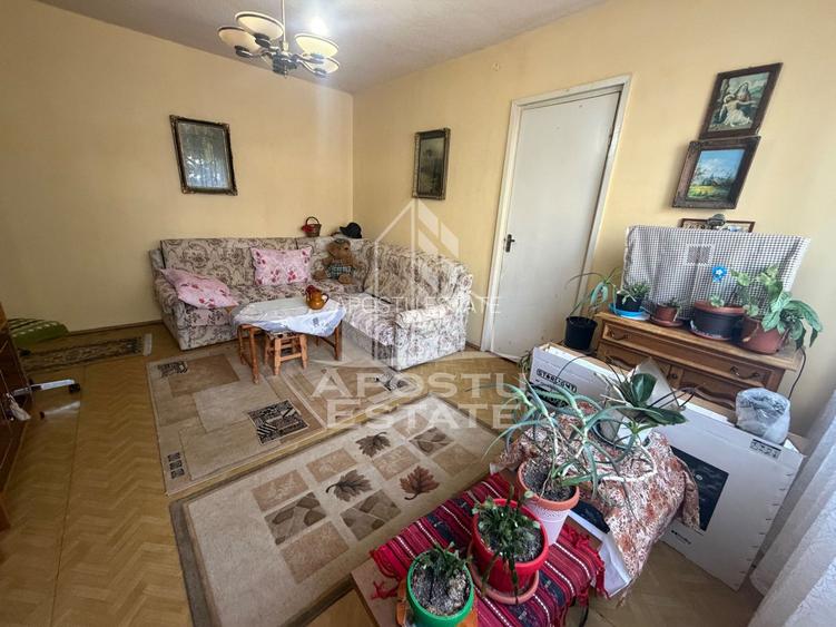 Apartament cu 3 camere de vânzare,etaj intermediar, Dacia,Timisoara - 3