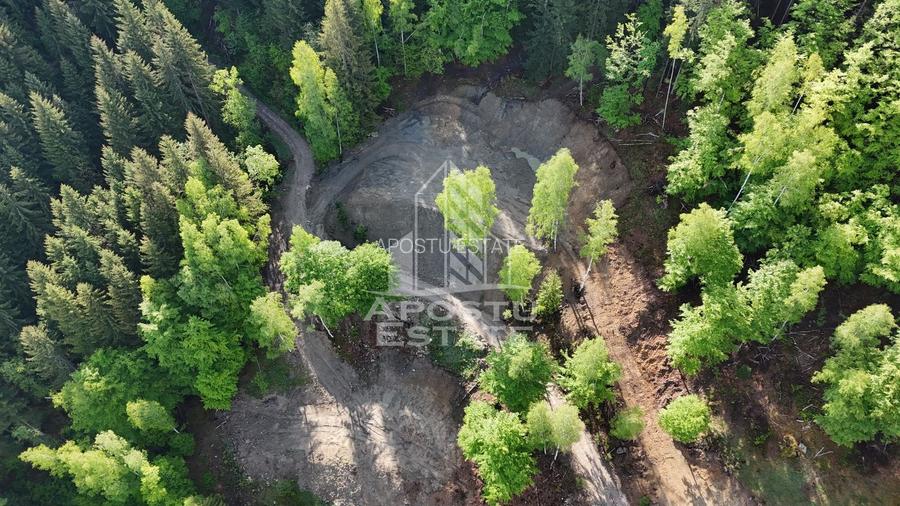 Oportunitate! Domeniu montan, cu lac propriu, oras Lupeni, Hunedoara - 33