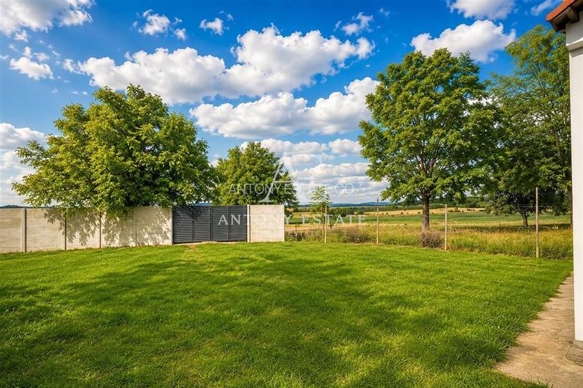 Antony Estate I Vanzare, Country House, Tileagd, Bihor - 8
