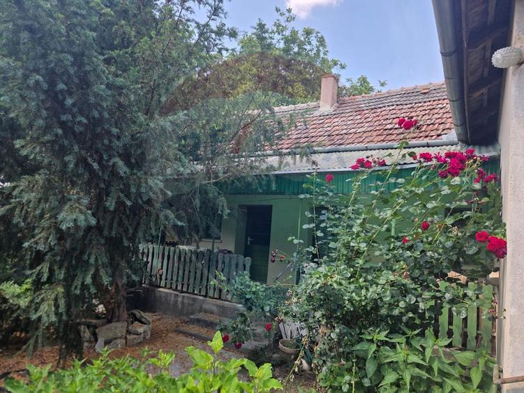 Casă cu gradina mare in Boiu