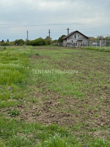Vanzre Teren construibil 3500mp 1 Decembrie - 4