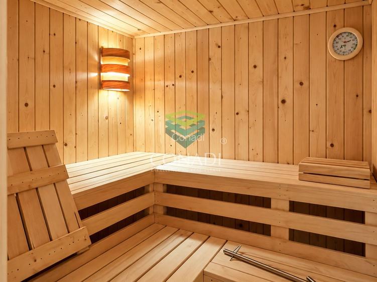 Luxury Garden | Domenii | Private Spa | 230 sqm Garden | 3 Parking - 15