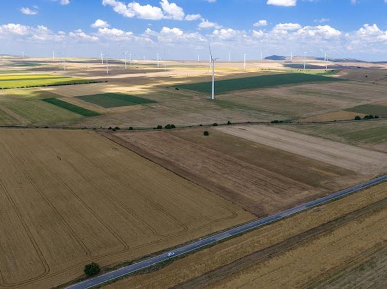 Vând teren agricol la șosea de 30.000mp în Iazurile comuna Valea Nucarilor