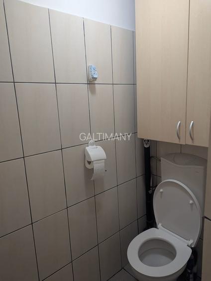 Casă parter – Domenii, Bvd. Ion Mihalache, Herastrau, curte proprie - 17
