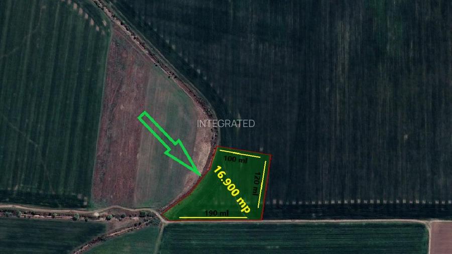 Teren extravilan 16.900 mp Afumati - 3