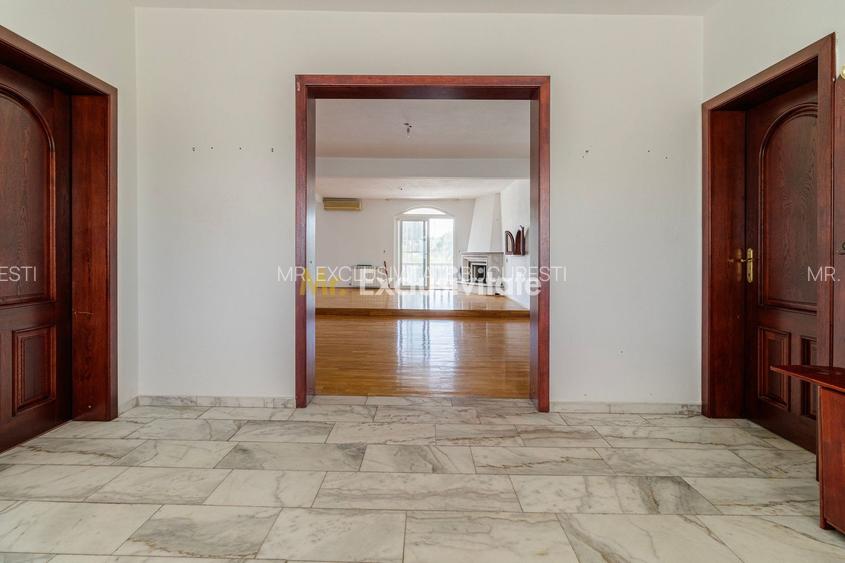 Domeniu privat 5.000 mp, cu reședință de 625 mp și piscină, Corbeanca - 26