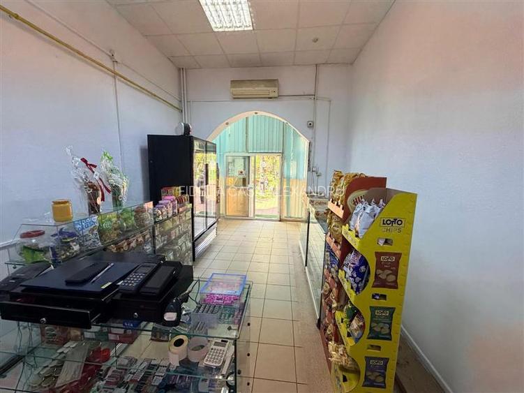 Spatiu comercial de inchiriat Alexandru cel Bun Parcul Voievozilor - 2