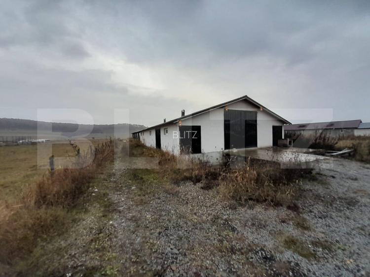 Casa individuala,180mp, 5000 mp teren plus Hala 550mp.CEPARI