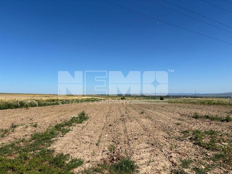 Teren intravilan | 1300 MP | 1000€  arul