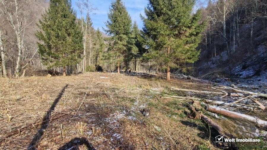 Teren Intravilan de Vânzare – 3279 MP – Coada Lacului Tarnița - 4