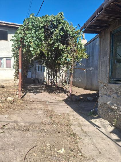 Sos Alexandriei