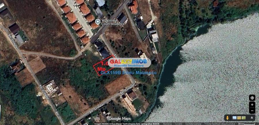 Mogosoaia 1.000 Mp str. Crinului